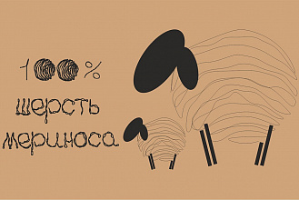Шерсть мериноса с научной точки зрения Шерсть мериноса с научной точки зрения