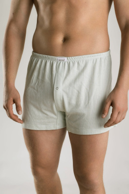 Трусы муж,s7017,s7017/62(ментоловый поток,зел-св,,ментоловый поток), (48)