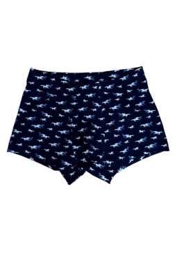 Трусы муж,258198,261805,5с4774,5с4775(набивка,син-т,,), (58)