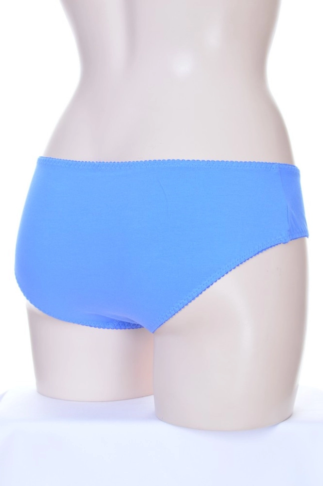 Трусы жен,s4828,s4828/5(светло-васильковый,гол,,), (42)