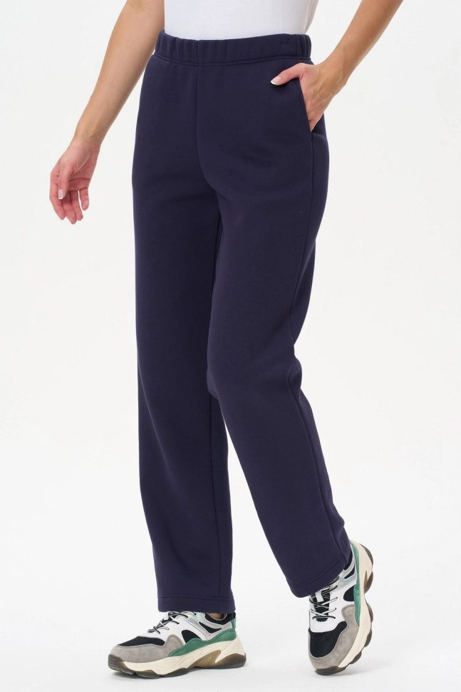 Брюки жен,b0228,b0228-o44.3f04(черничный,син-т,,), (44-164)