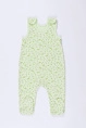 Ползунки мал,в415907п,-(мишки и тучки по фисташковому,зел-св,,), (20-62)