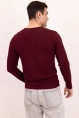 Джемпер муж,268101,5с5015(гранат,бордо,,), (48-170,176)