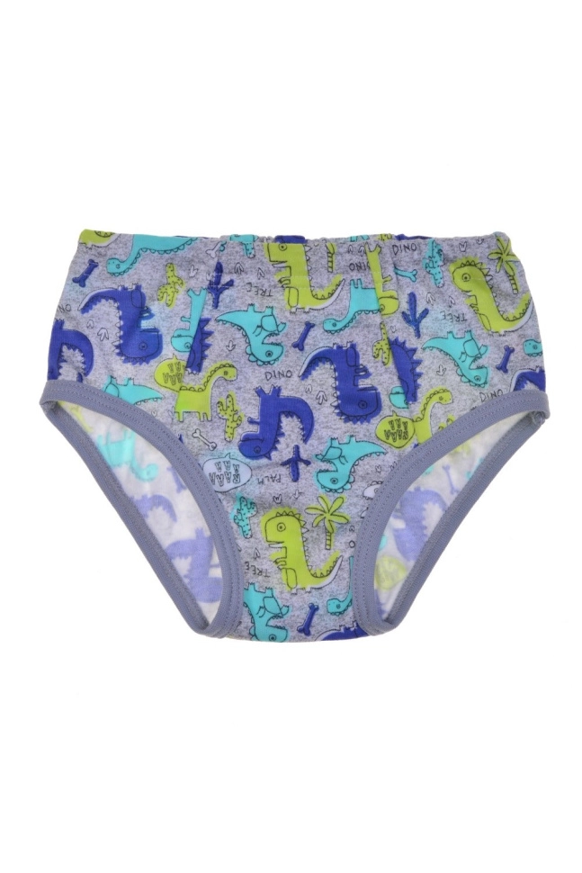 Трусы мал,л077894г,-(динозавры на сером,сермел,,дино), (30)
