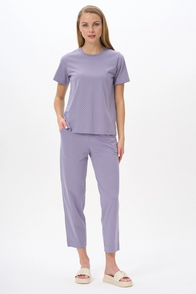 Брюки жен,b0280,b0280-g41.4s06(сиреневый,сер,,бел горош), (60-164)