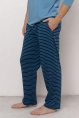Брюки муж,50155,1h-076(синий,син,,гол полос), (50-176)