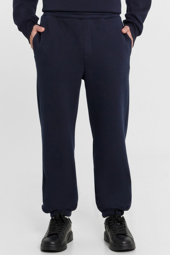 Брюки муж,181264,24-3888ц-7п(темно -синий,син-т,,), (50-170,176)