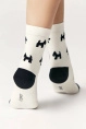 Носки жен,7с-22сп,587(молочный,молоч,,собачки), (23-25)