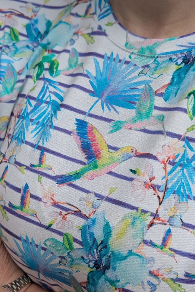 Джемпер жен,а1335,а133518(голубой,гол,,колибри на ветках), (46-158,164)