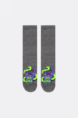 Носки жен,22559u,2242(т.серый меланж,сер-т,,кислотные кошки), (25-27)