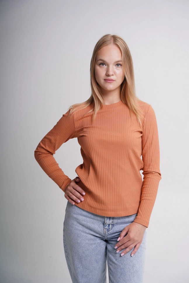 Джемпер жен,668215,4с4182(морковный,терра,,), (46-158,164)