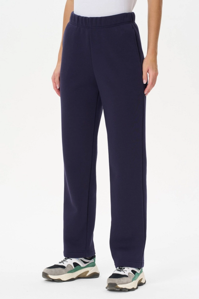 Брюки жен,b0228,b0228-o44.3f04(черничный,син-т,,), (44-164)